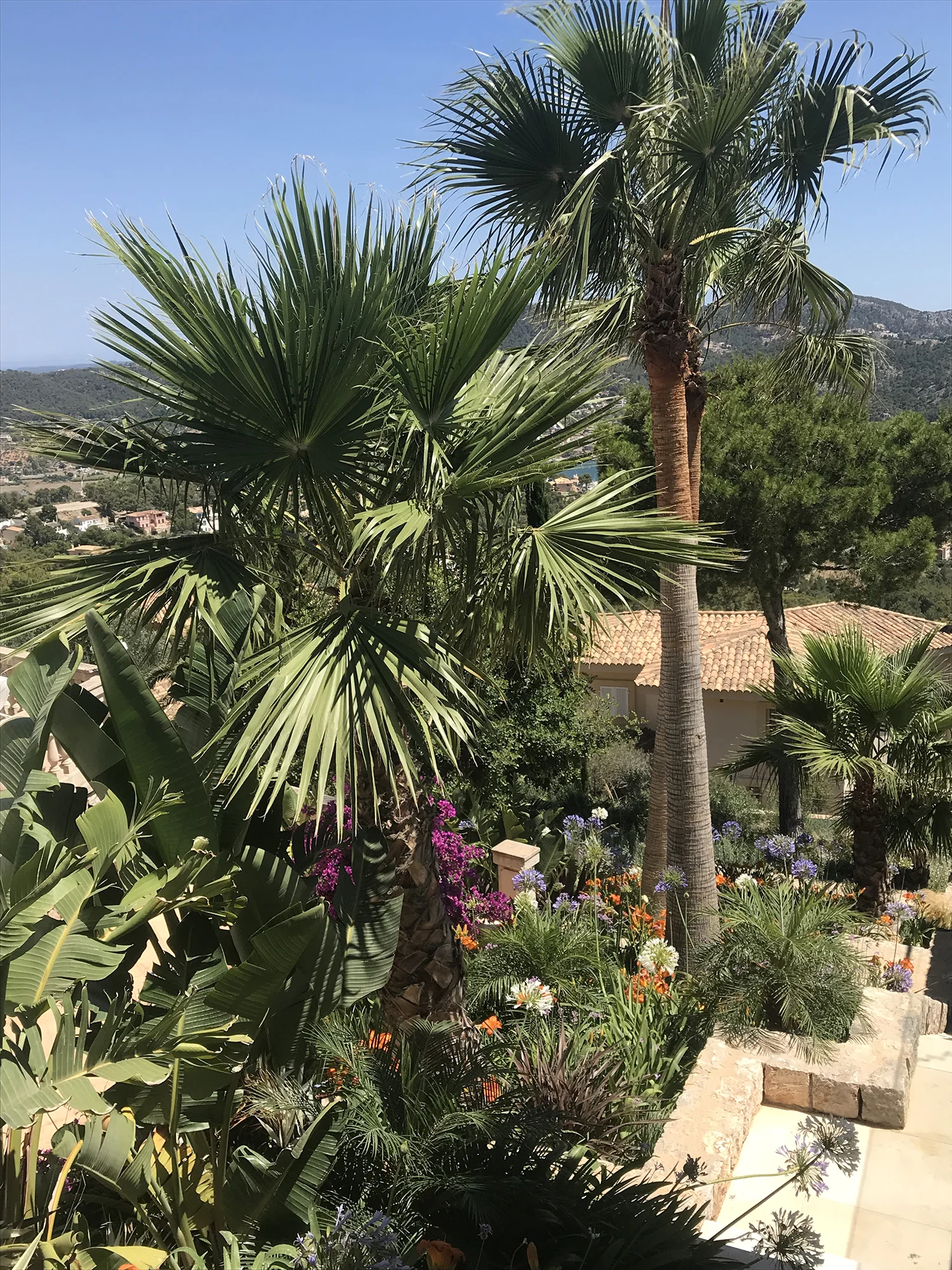 2018-06-25 15.18.25.jpg