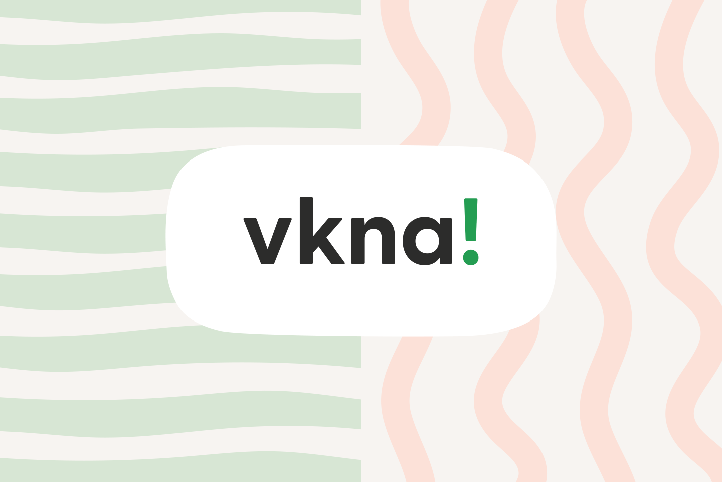 VKNA-100.png