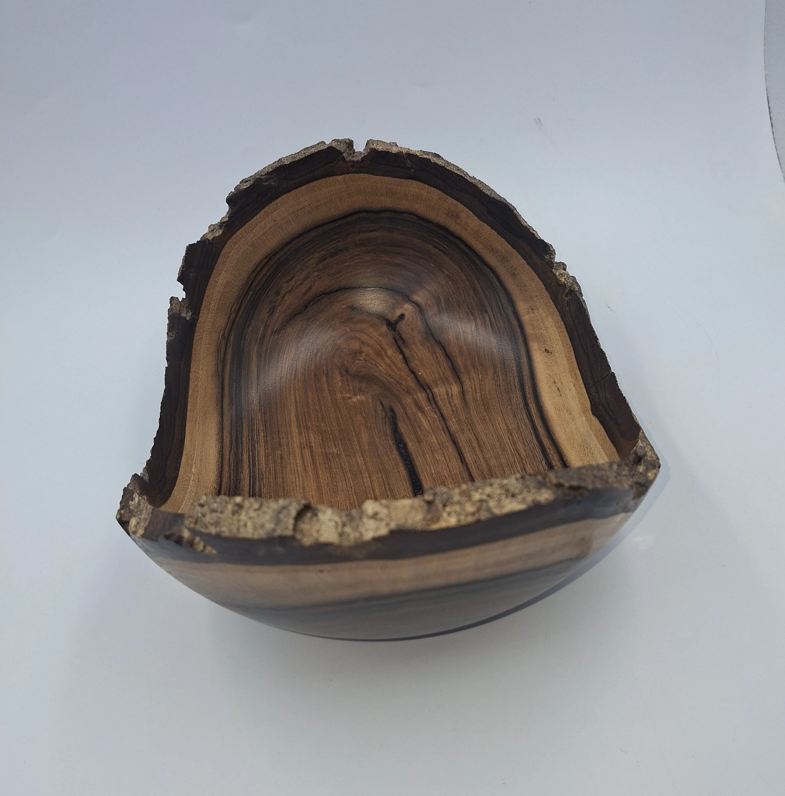 11x5 Natural Edge Black Walnut 071026B.jpg