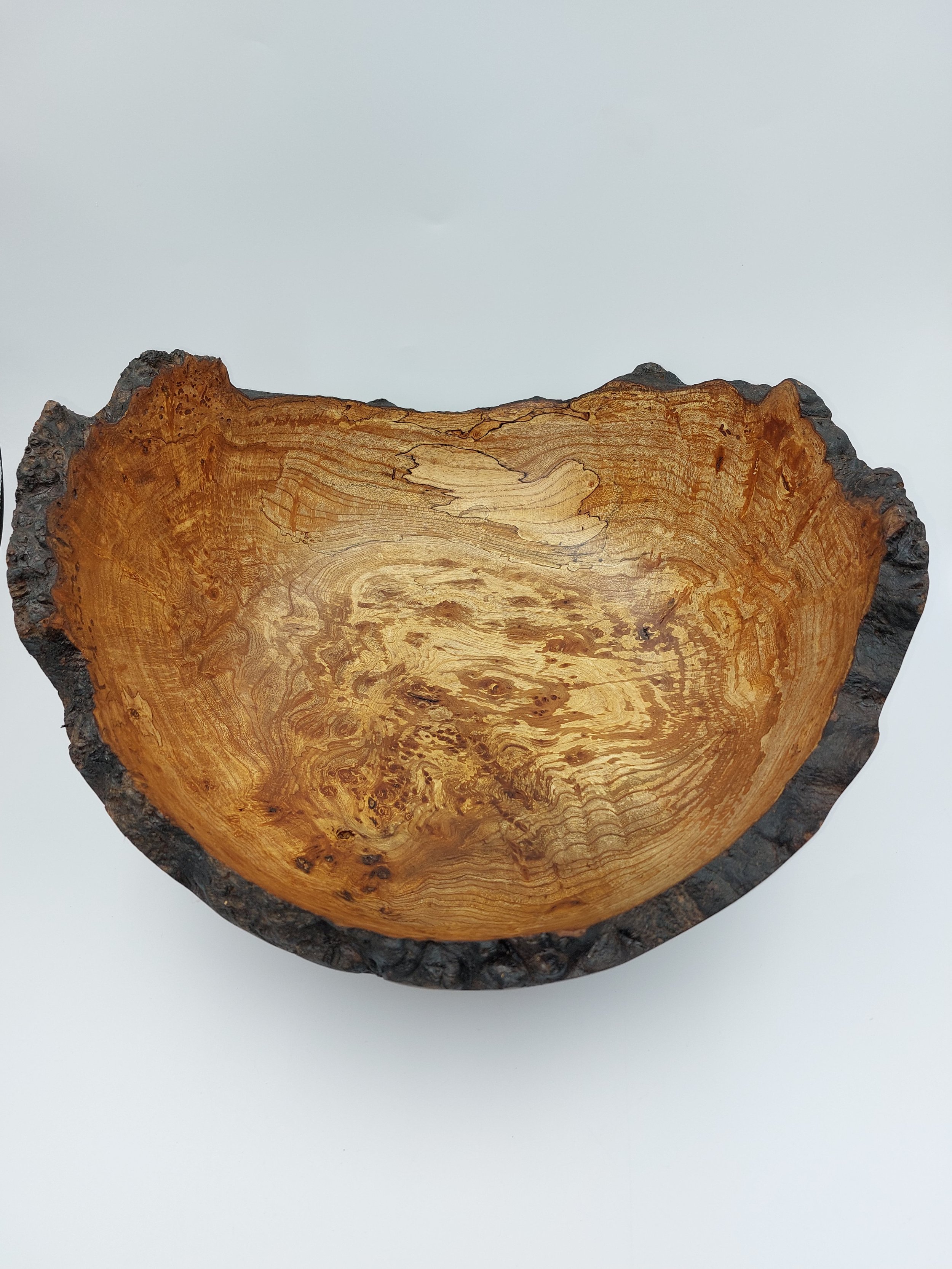 Irish Burr Elm 15X7 inch a 240223.jpg