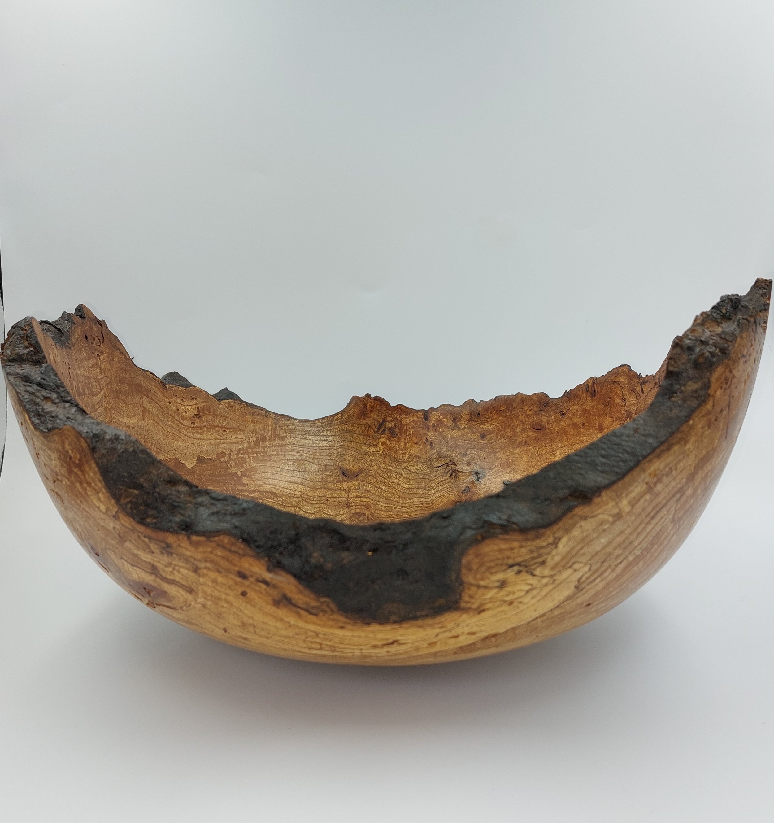 Irish Burr Elm 15X7 inch b 240223.jpg