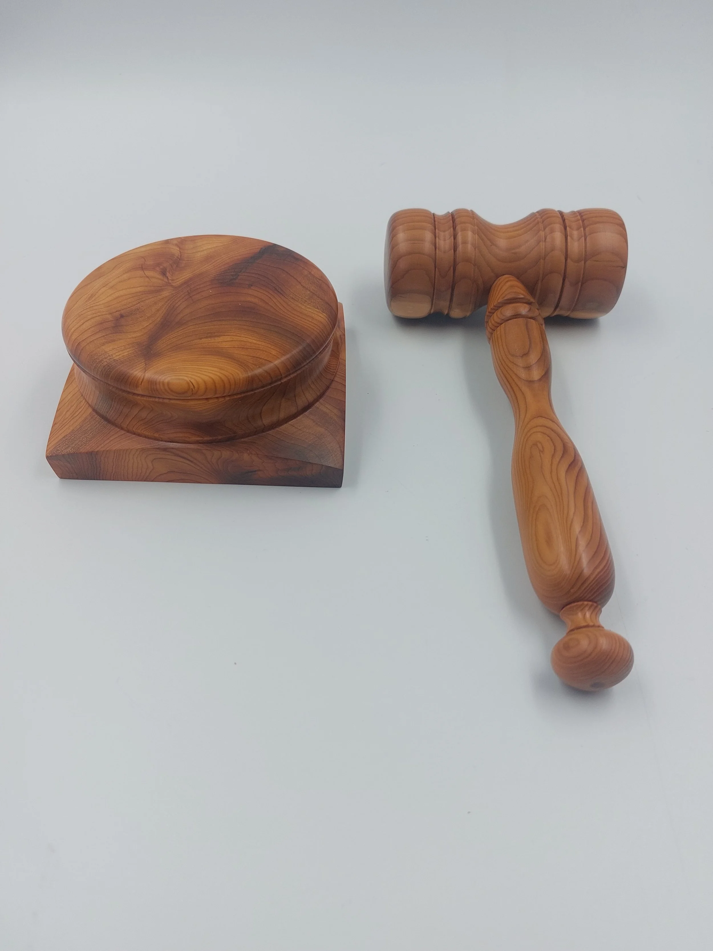 Paula Block and Gavel 1.jpg