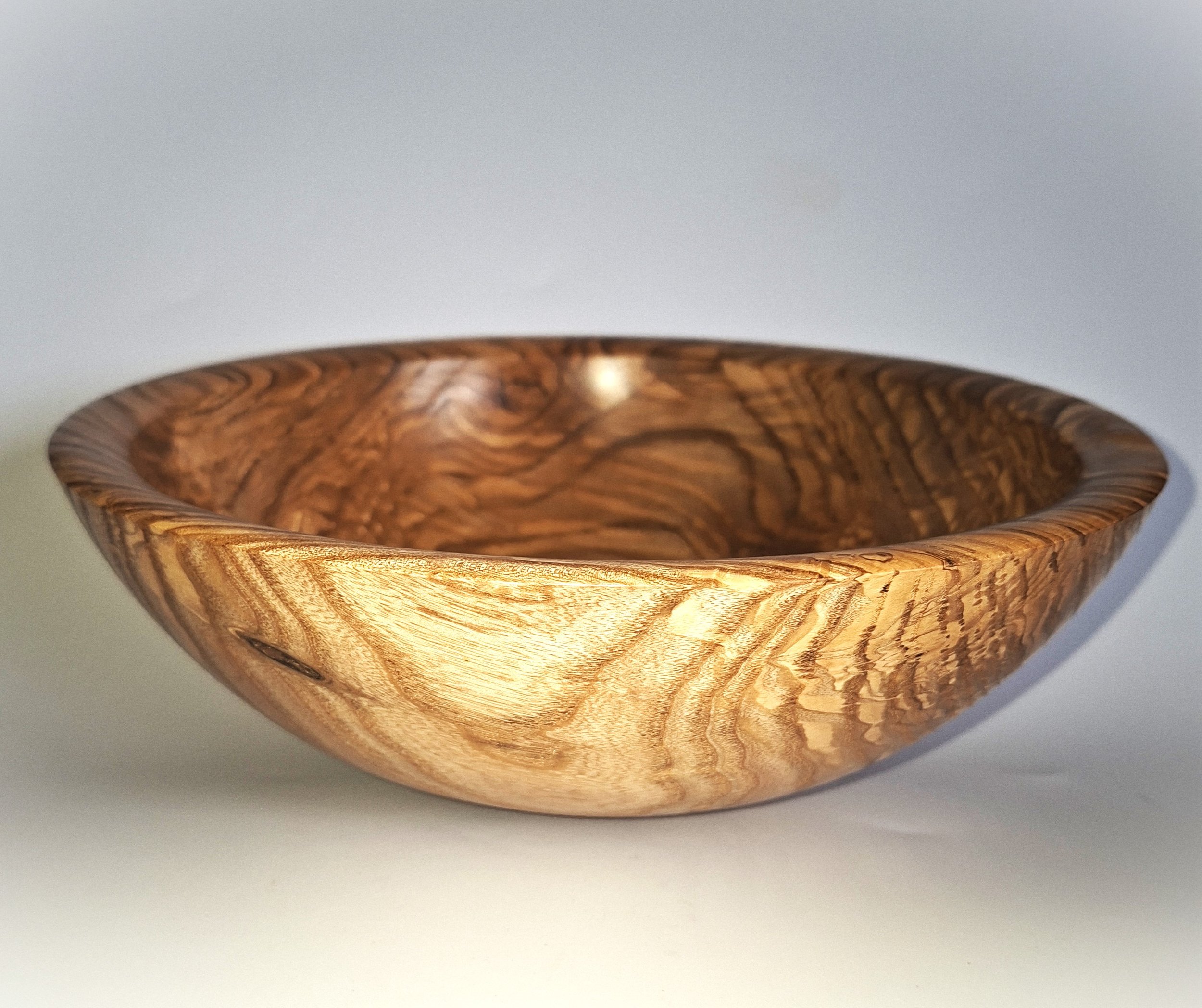Olive Ash 11x4141026b.jpg