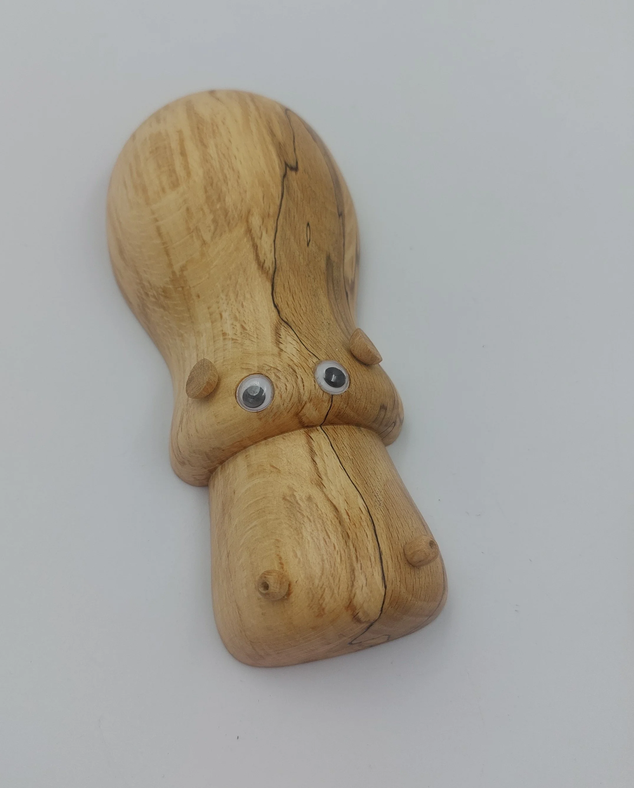 Hippopotamus 011225 c.jpg