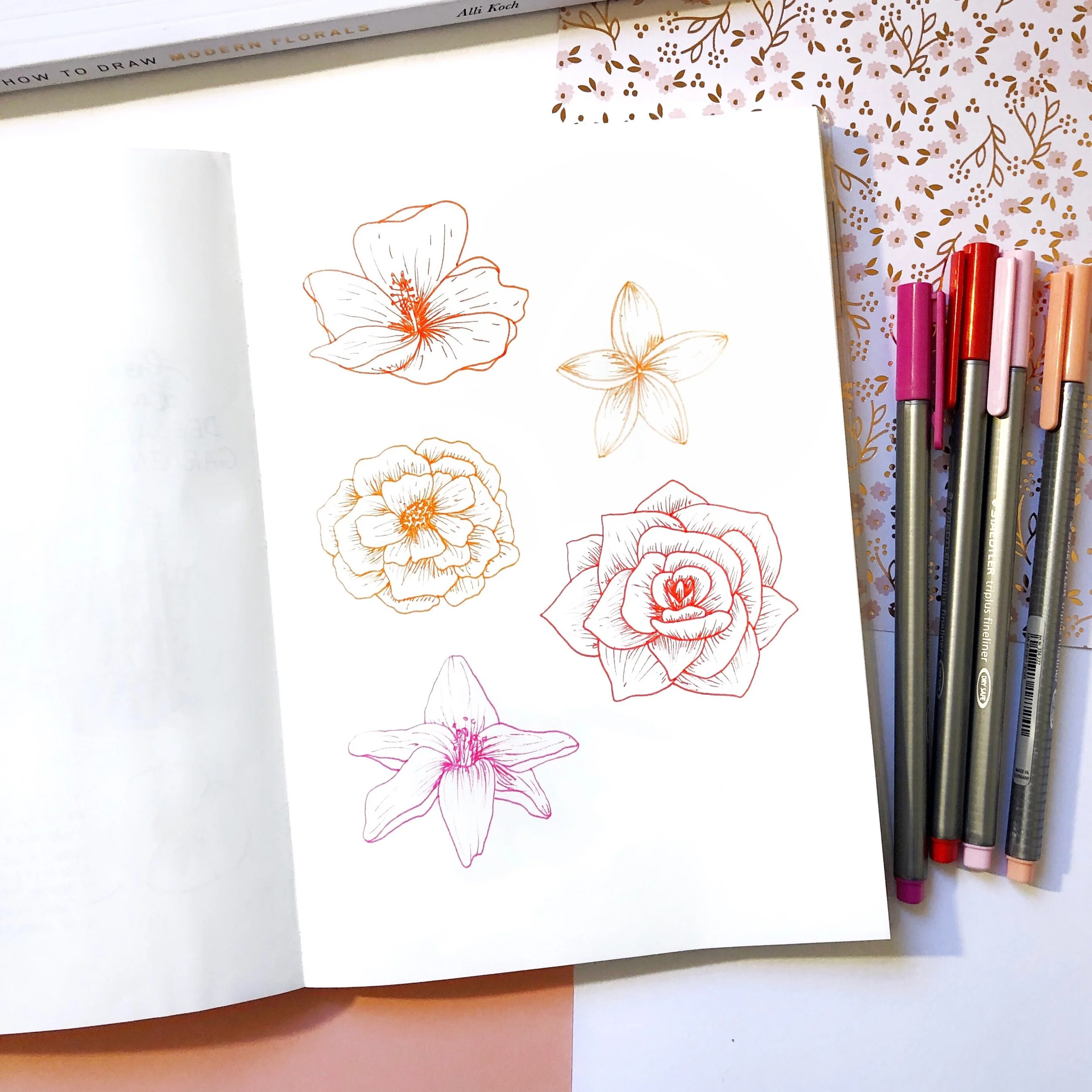Botanical Line Drawing