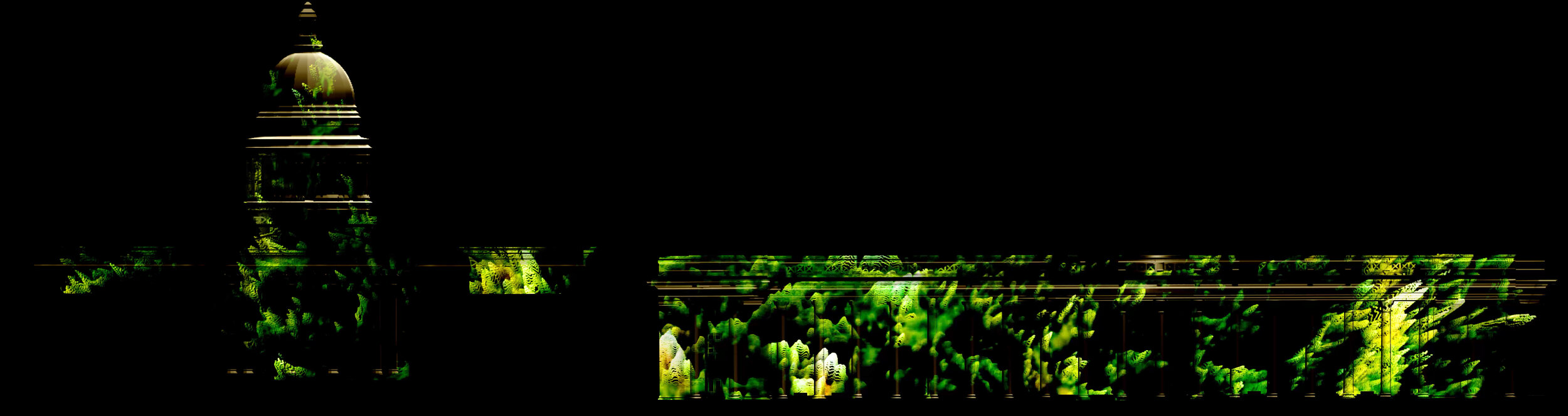 (RE)ROOTING (0-03-53-08).jpg