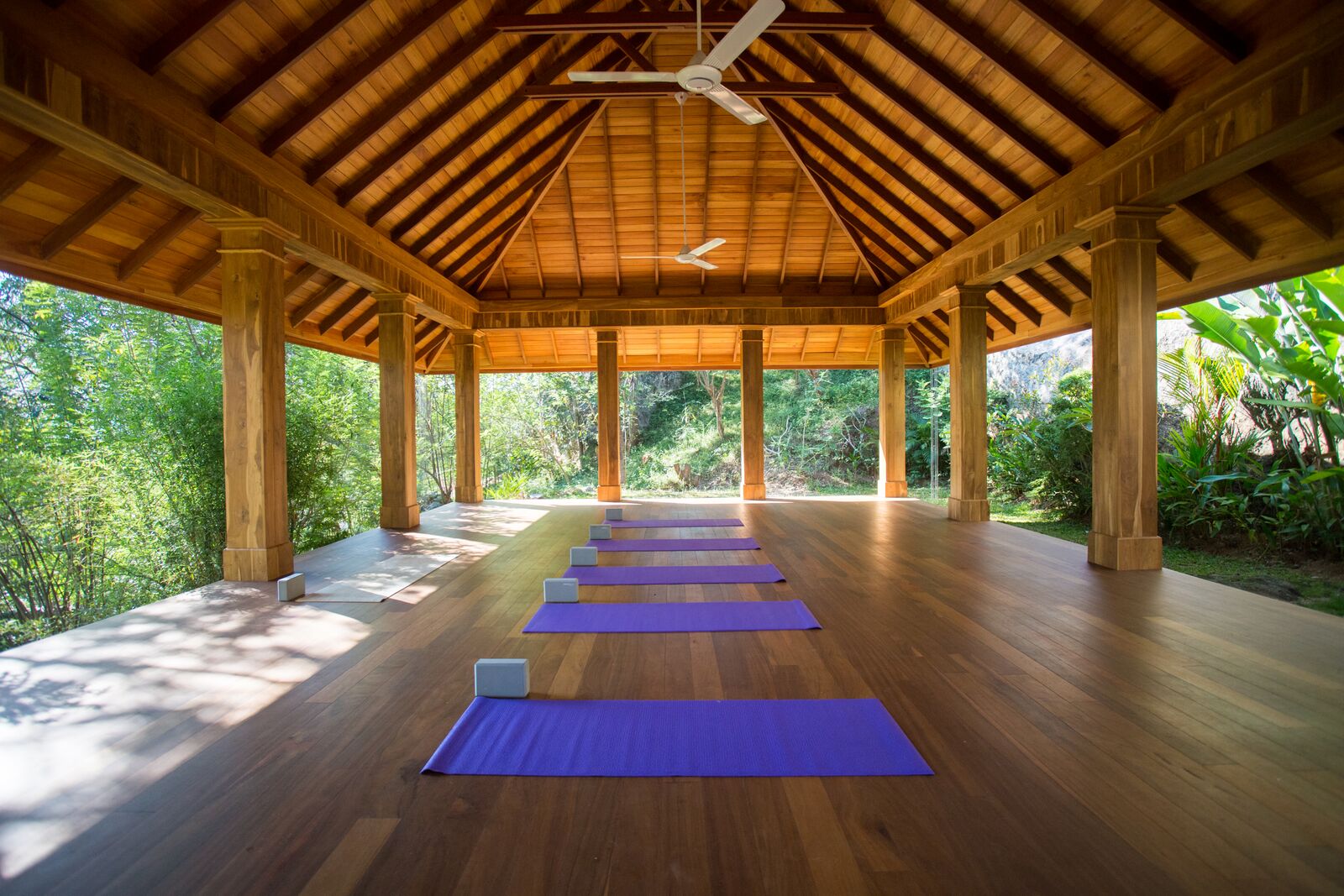YOGA Shala.jpeg
