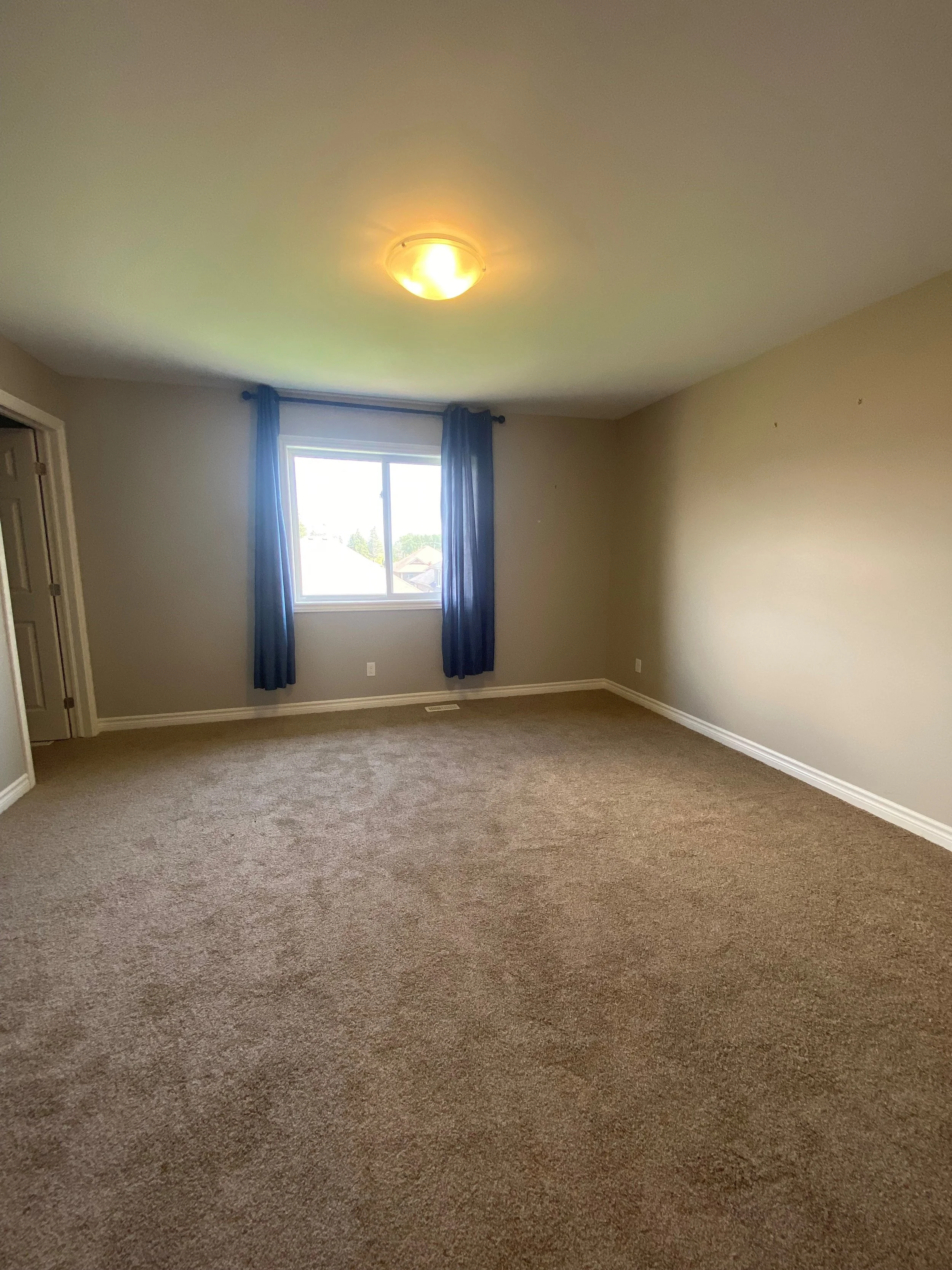 New Carpet.jpg
