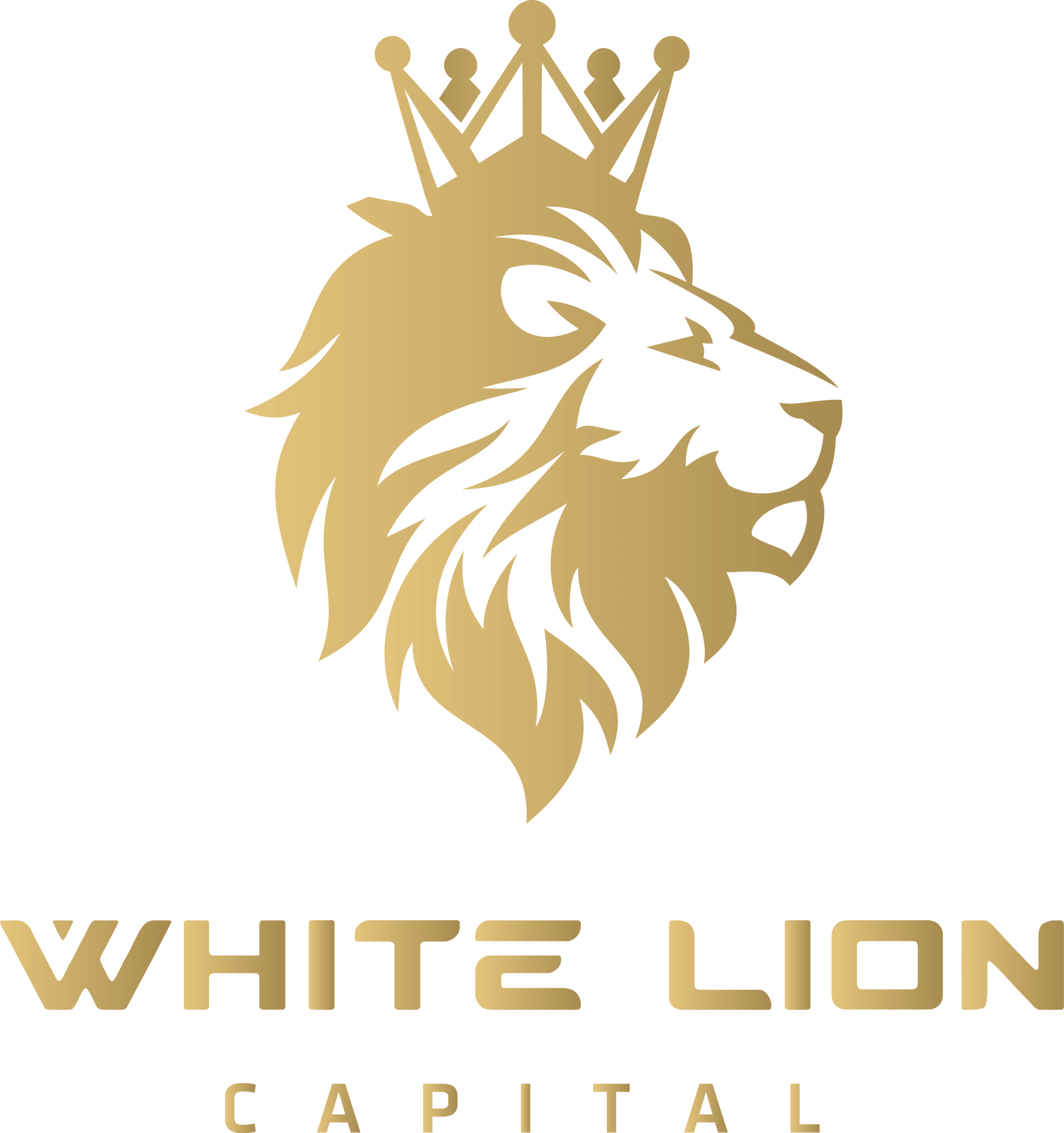 White Lion Capital