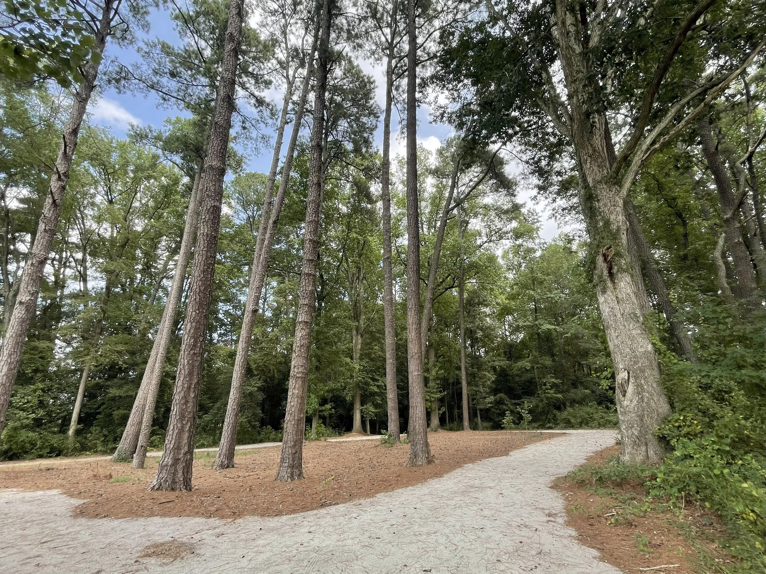 Community Park — Town Of Sims