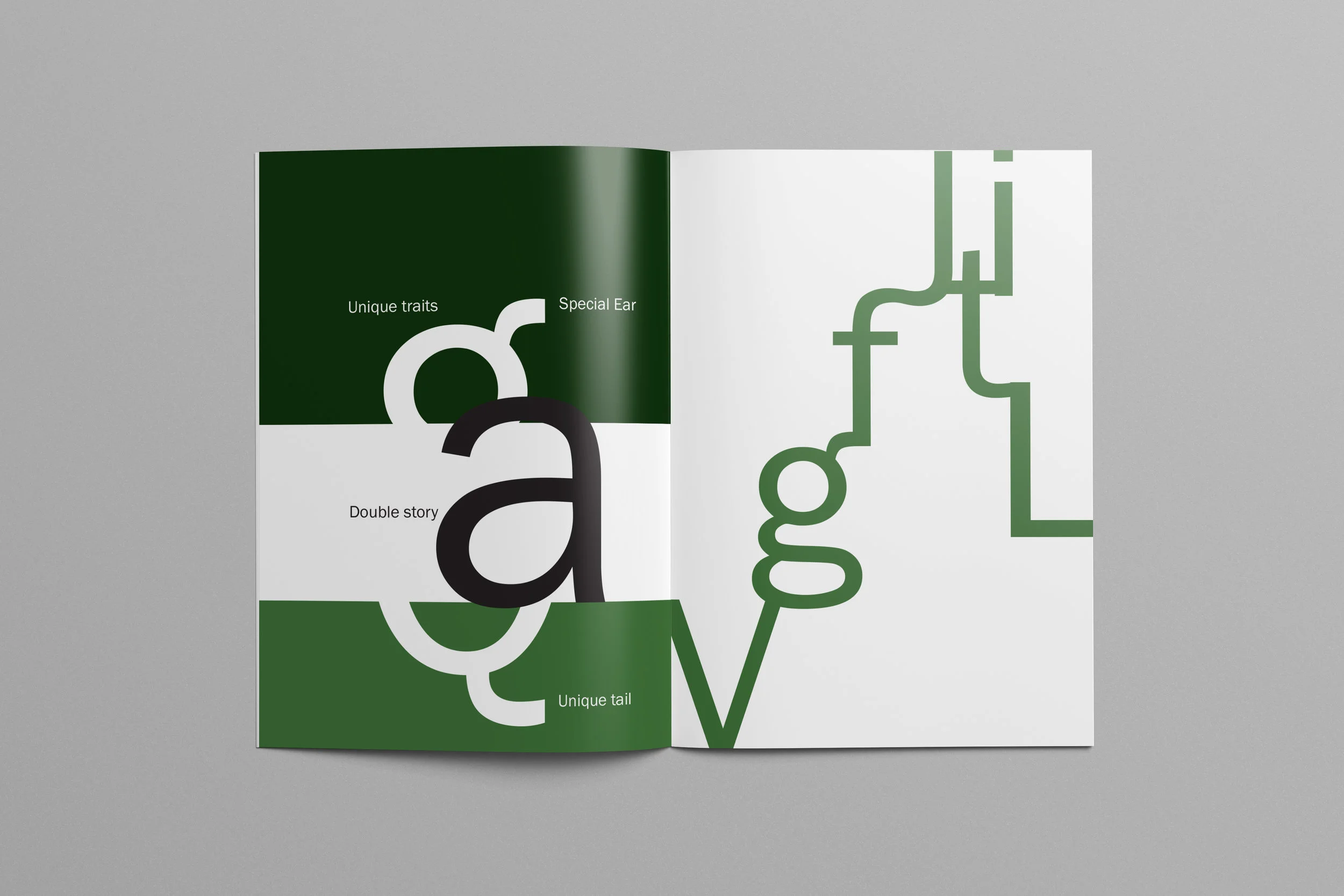 franklin_gothic_spread1.jpg