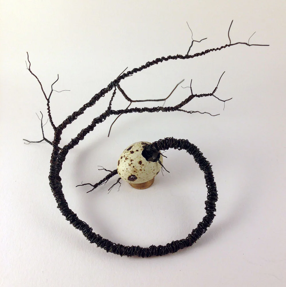 Seed, 2016