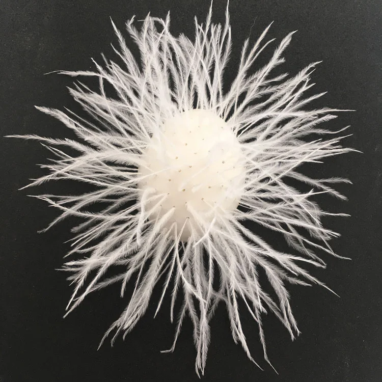 Coral Bleaching, 2019