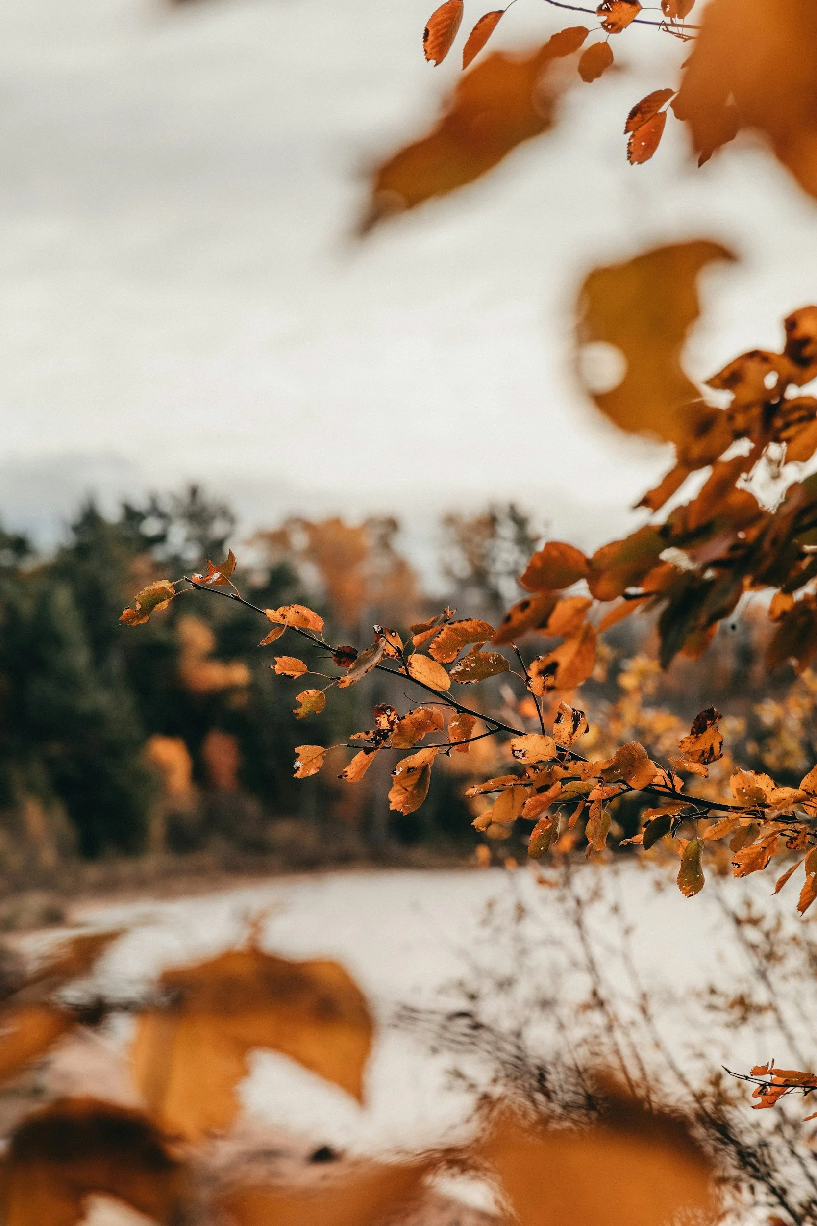 unsplash-image-TexyyTOFmHE.jpg