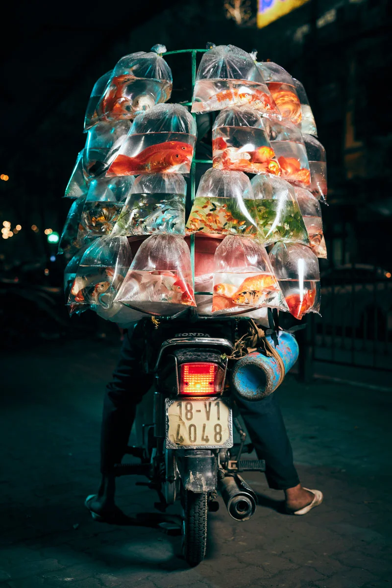 Hanoi_Day12030.jpg