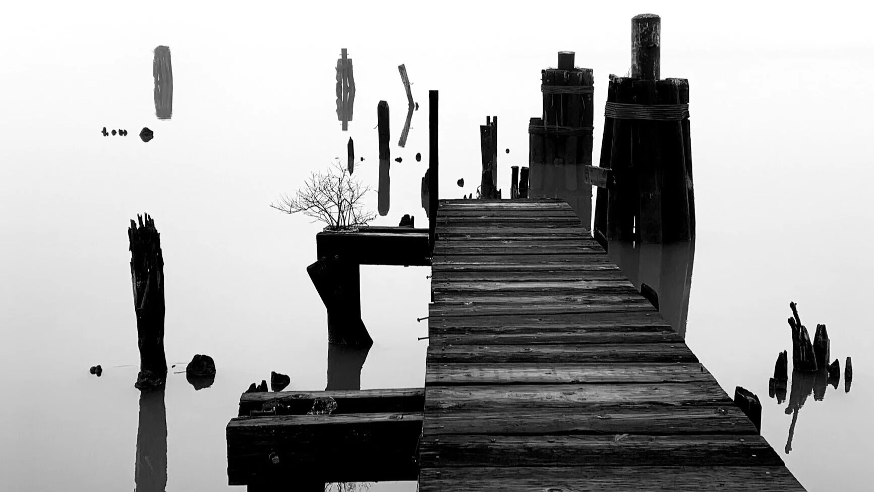 Pier by Ridvan Foxhall