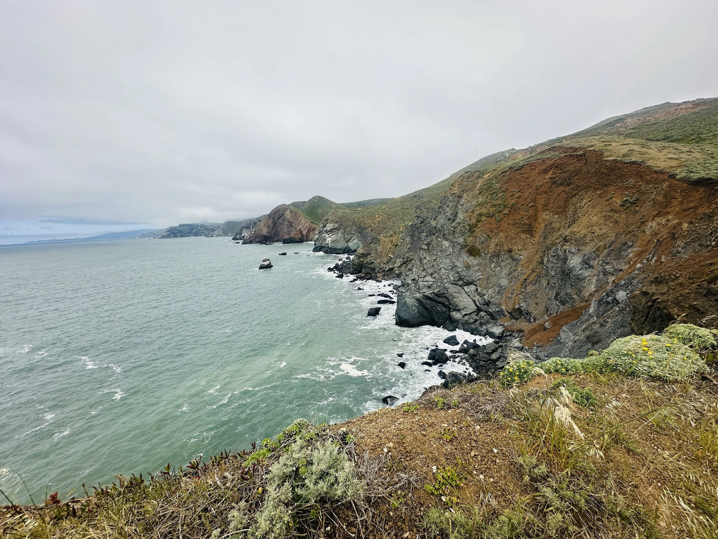 Steadfast Giants and Shifting Tides: A journey Down the Pacific West Coast