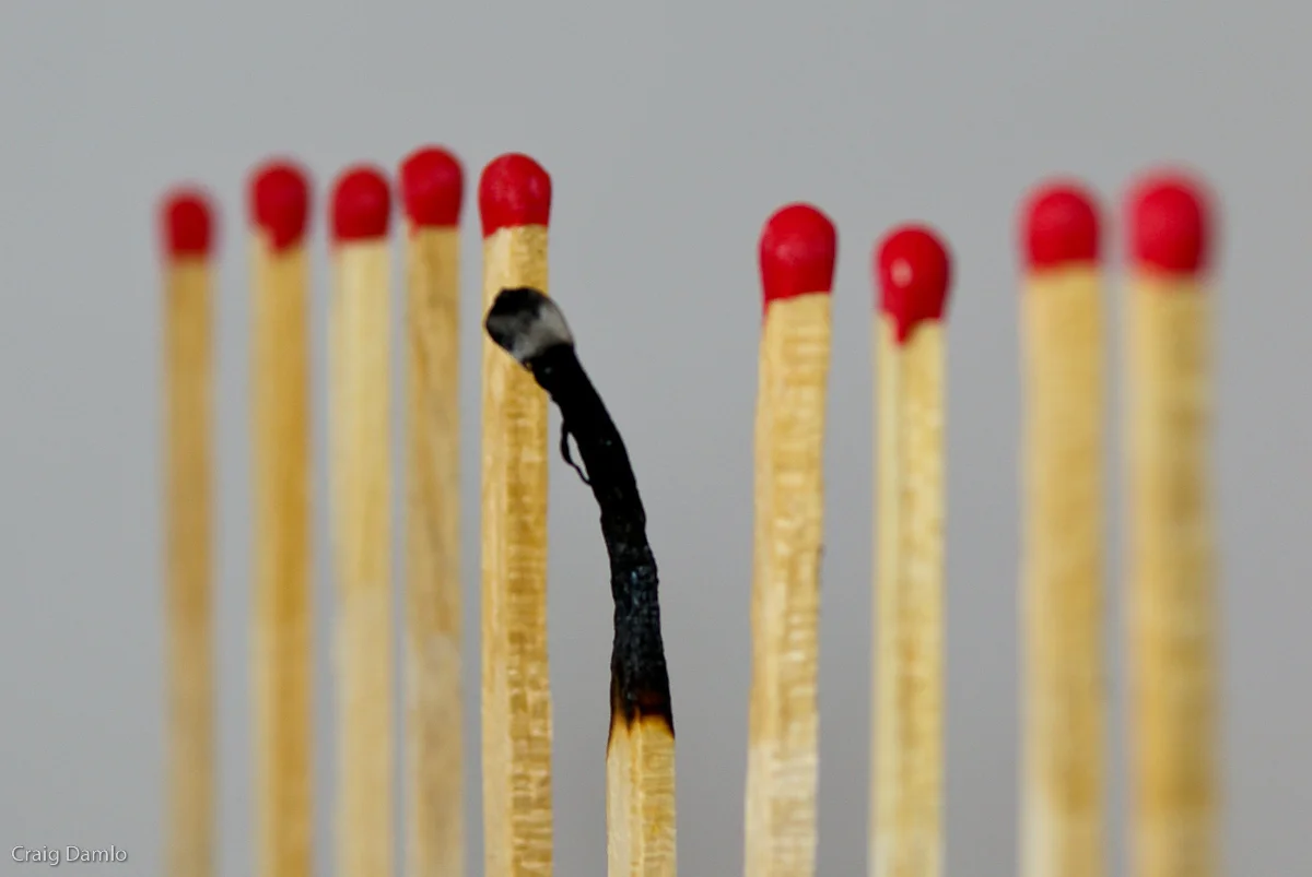 Nine Month Nose Dive