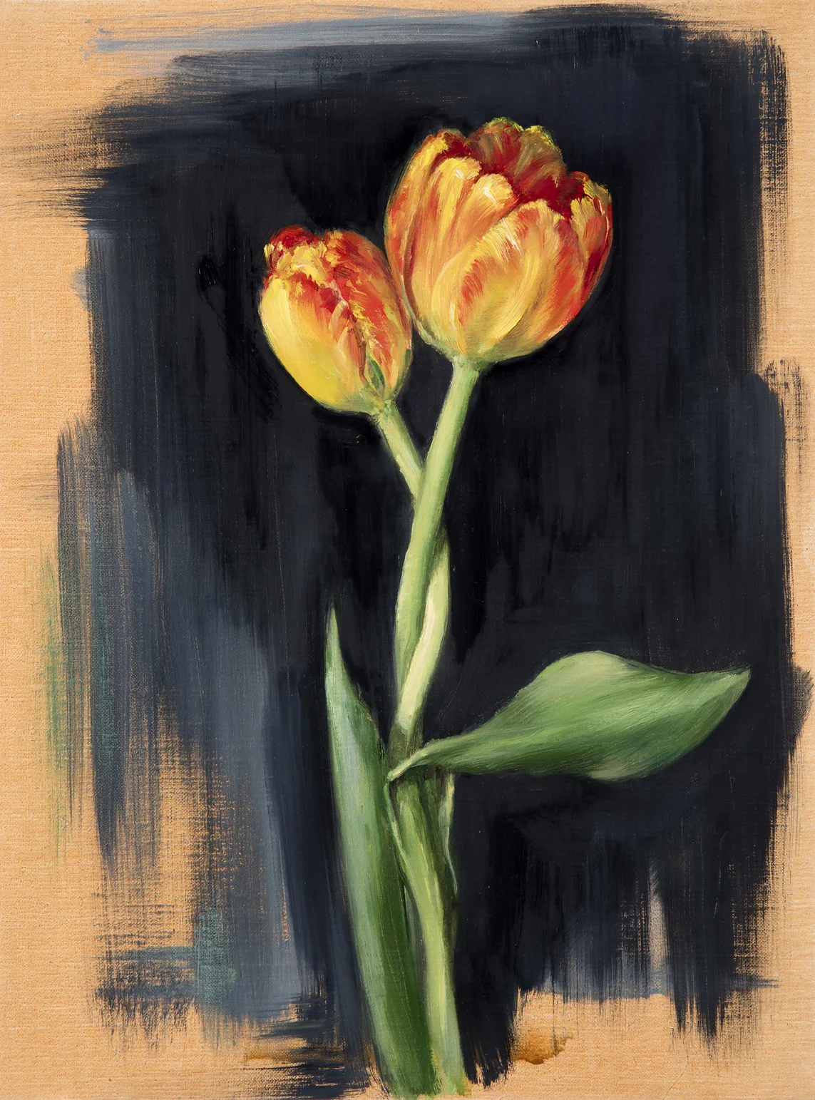 Spring Tulips