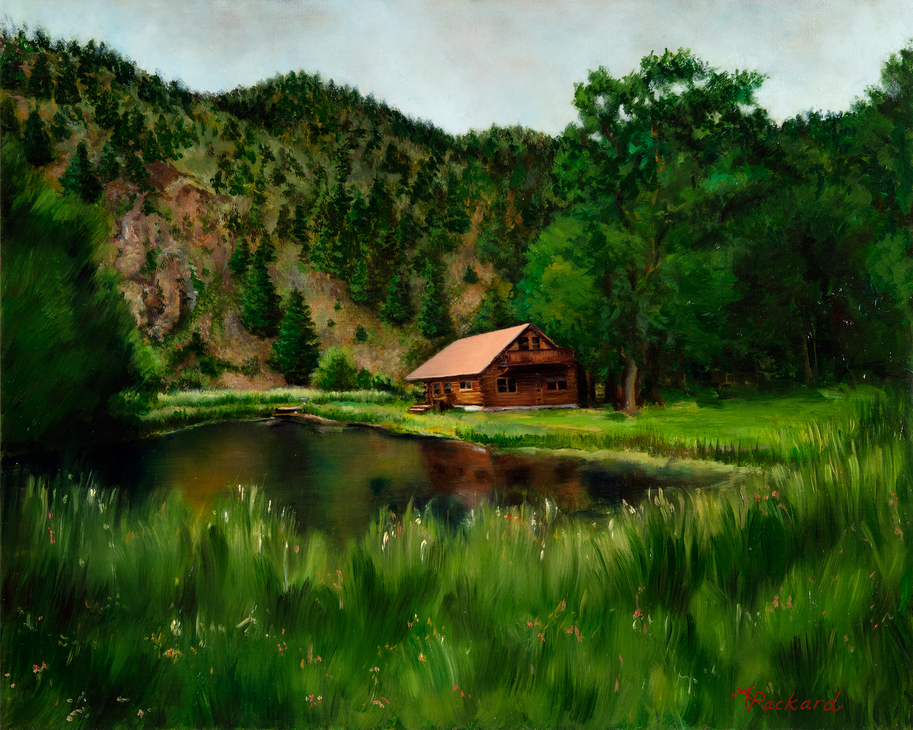 Colorado Cabin