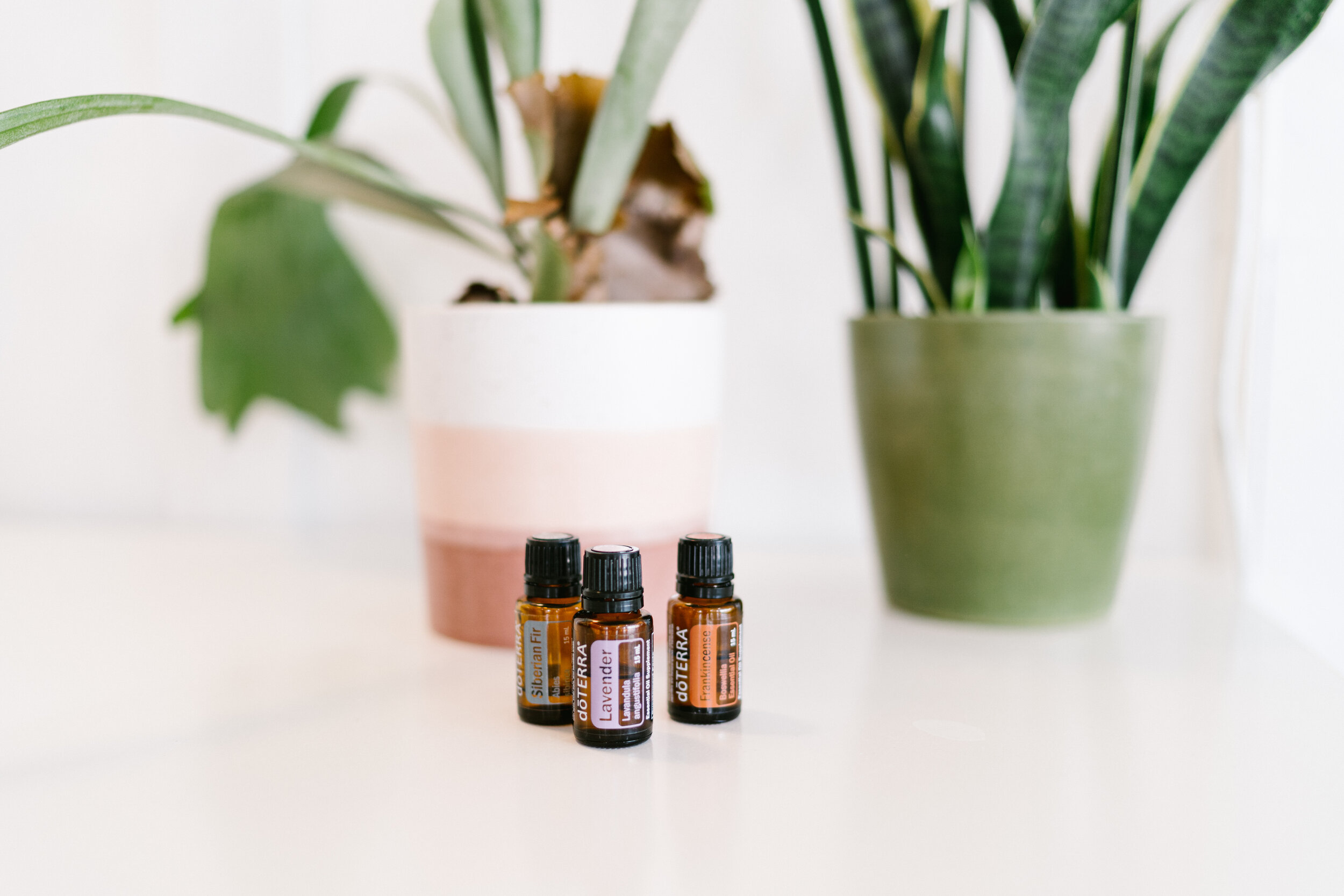 doTerra Essential Oils Collection Yoga Kit – TheDepot.LakeviewOhio