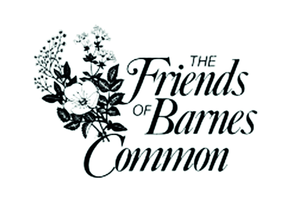 Friends of Barnes Common Half-term Holiday Activities