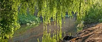 Greenkeeper's update - Autumn and Winter 2017-18