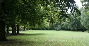 Join us for the BCA Community Picnic on Sunday 9th&nbsp;June 