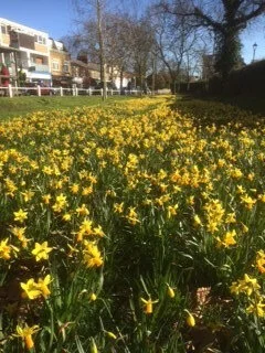 BCA launches its events for the Spring - Virtual Duck Race and Barnes Dog Walk! 