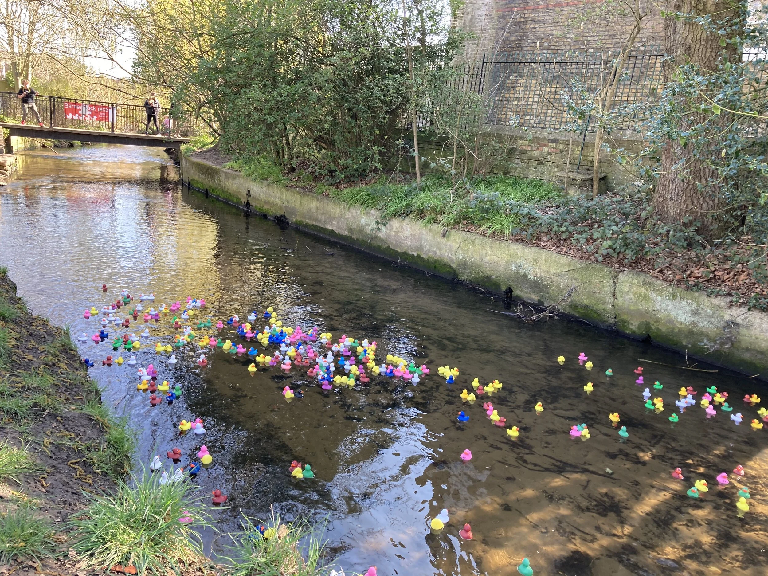 QUACK! The BCA Barnes Virtual Duck Race 2021 is here! 