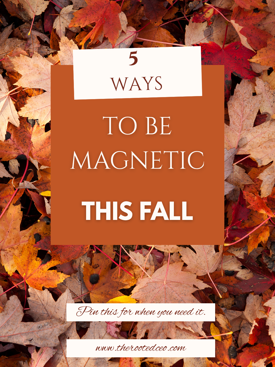 5 Ways to Be Magnetic This Fall (Without Faking a Personality)