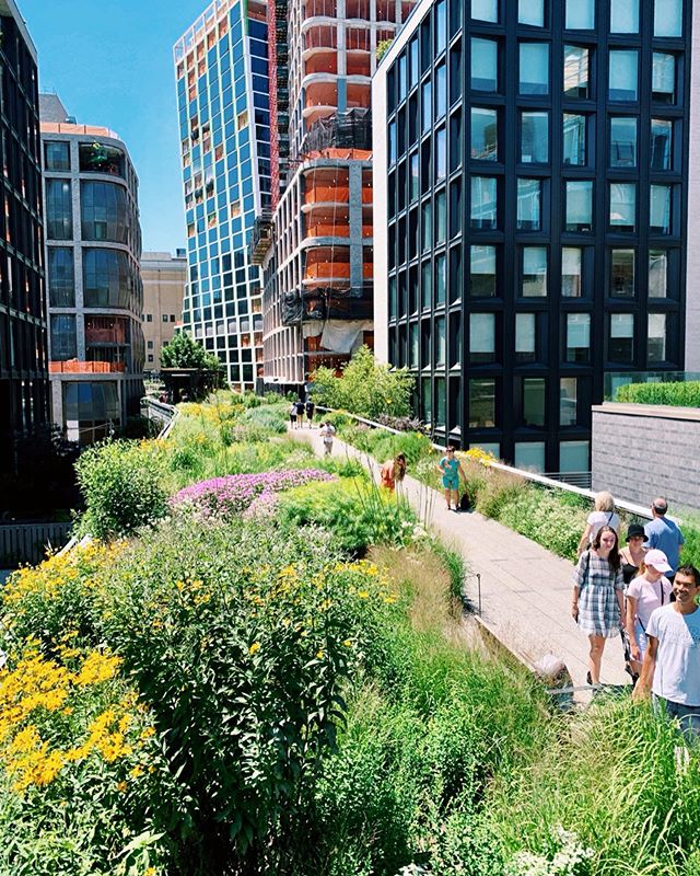 Are you one of the many who thinks of the High Line as a simple elevated walkway? It&rsquo;s much more! 
The High Line began as an elevated railroad track in 1934, and was built to keep pedestrians safe from street level tracks. The last train ran on