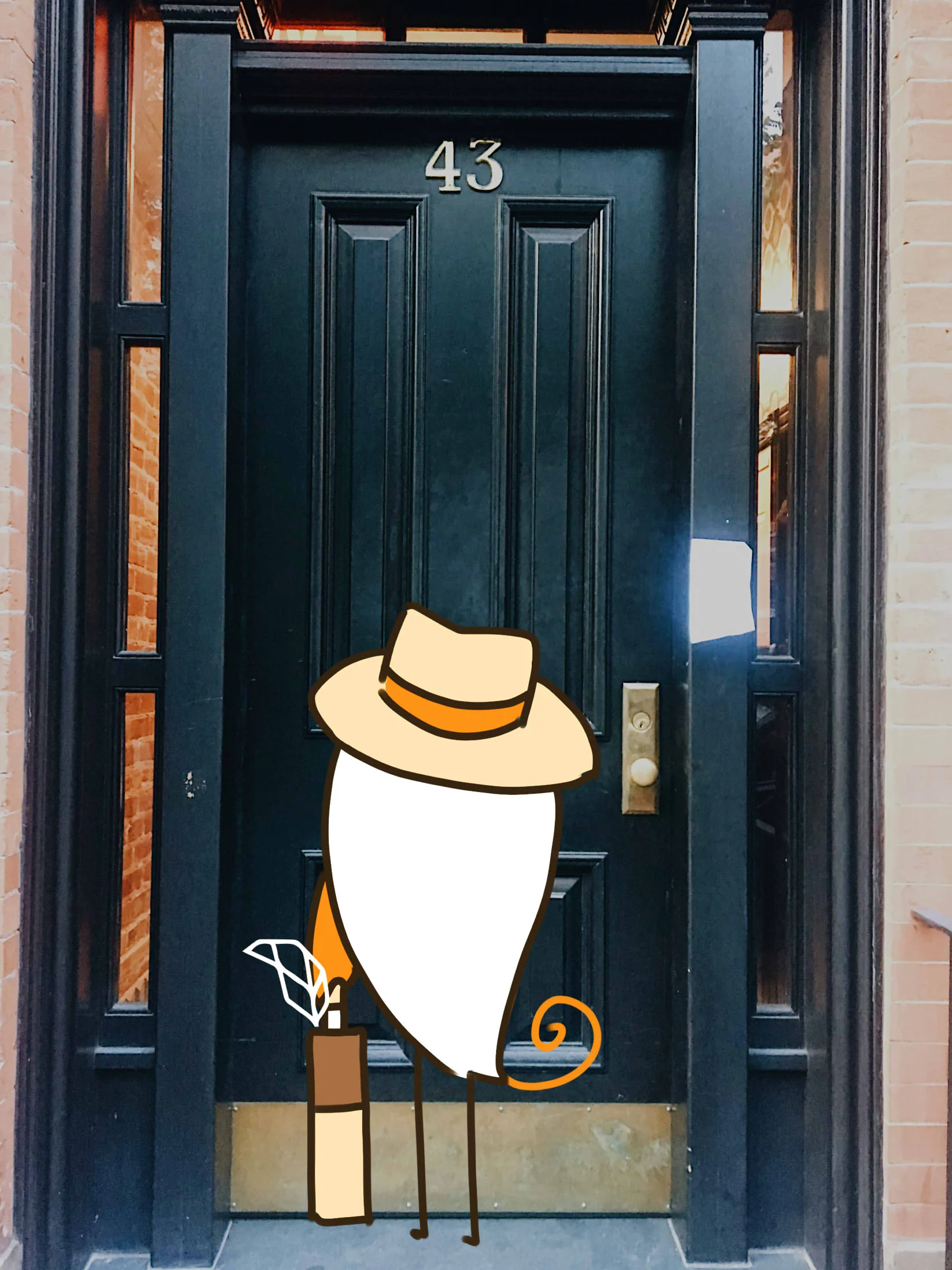 bar2.jpg