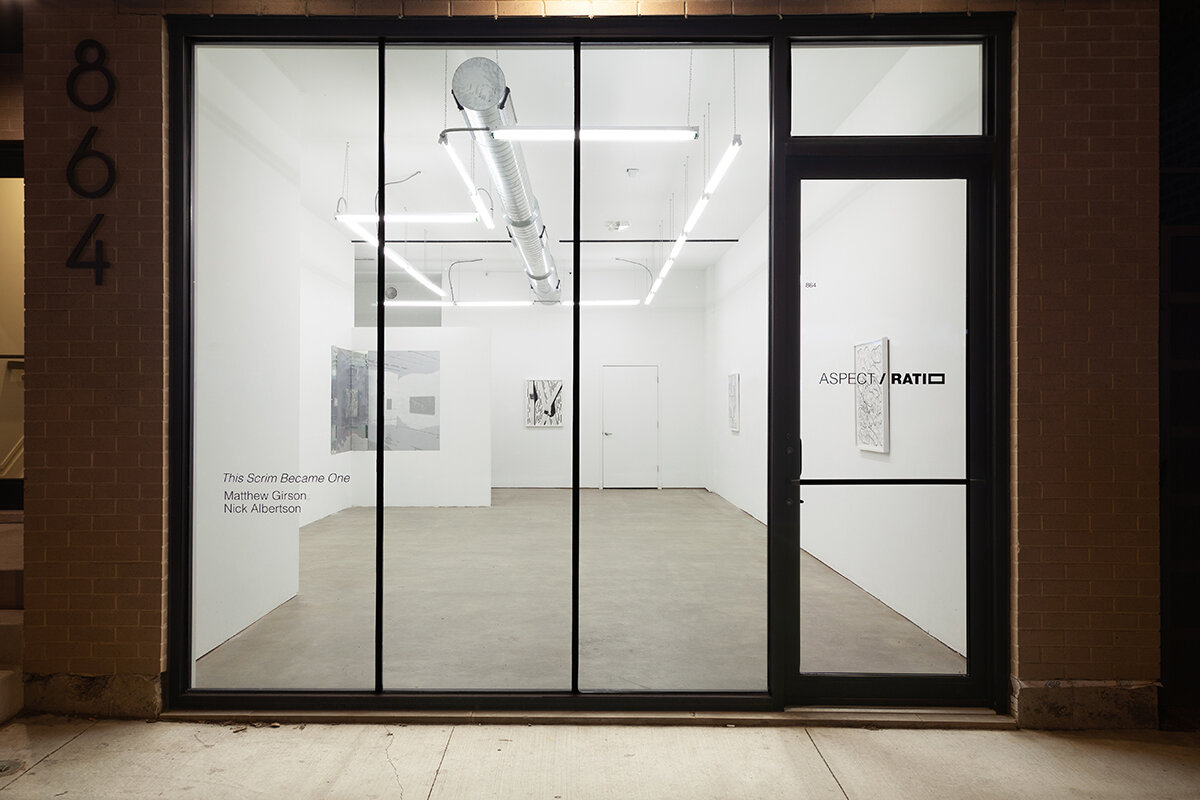 This Scrim Became One Installation View