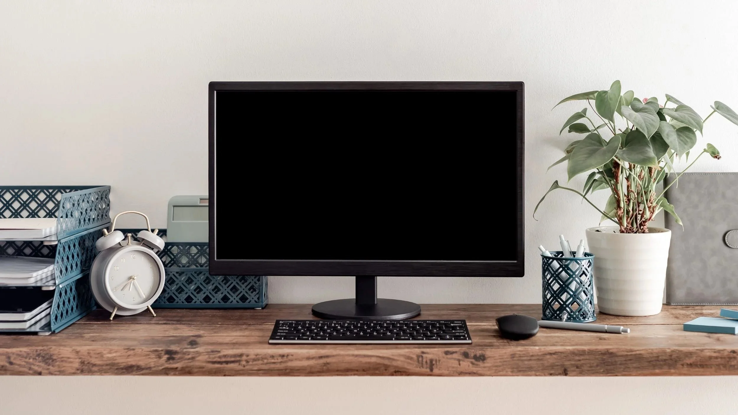 Untitled design-5.jpg