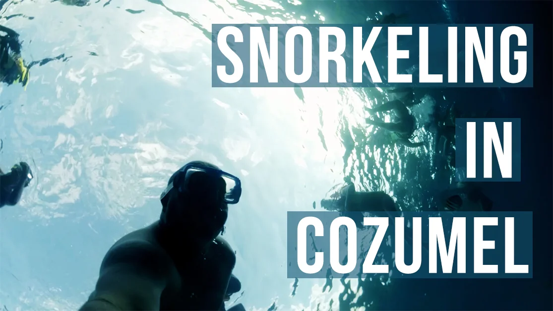Snorkeling in Cozumel, Mexico