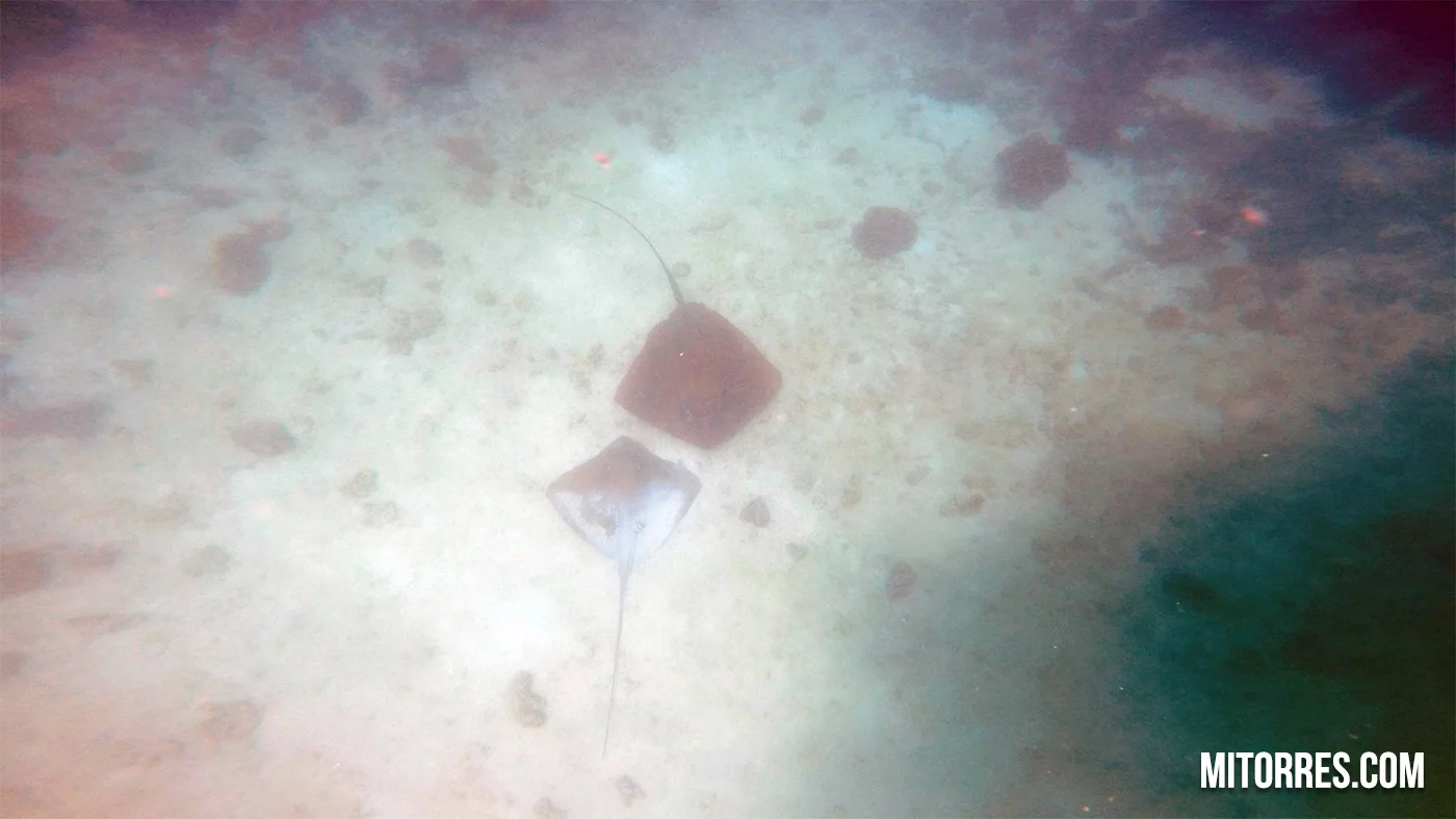 Contadora Island Trip - DAY 2 VLOG