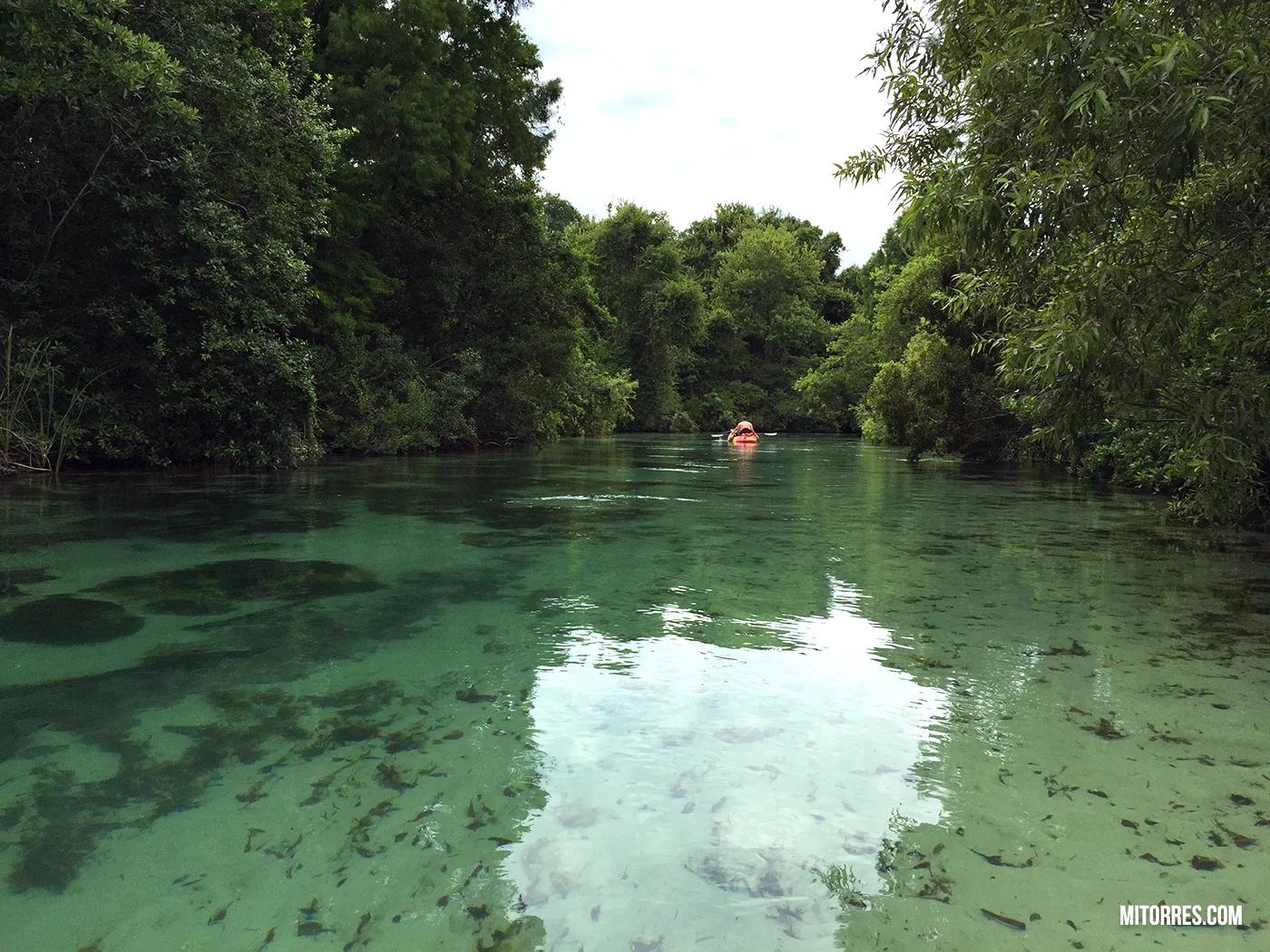 Kayaking on the Weeki Wachee River