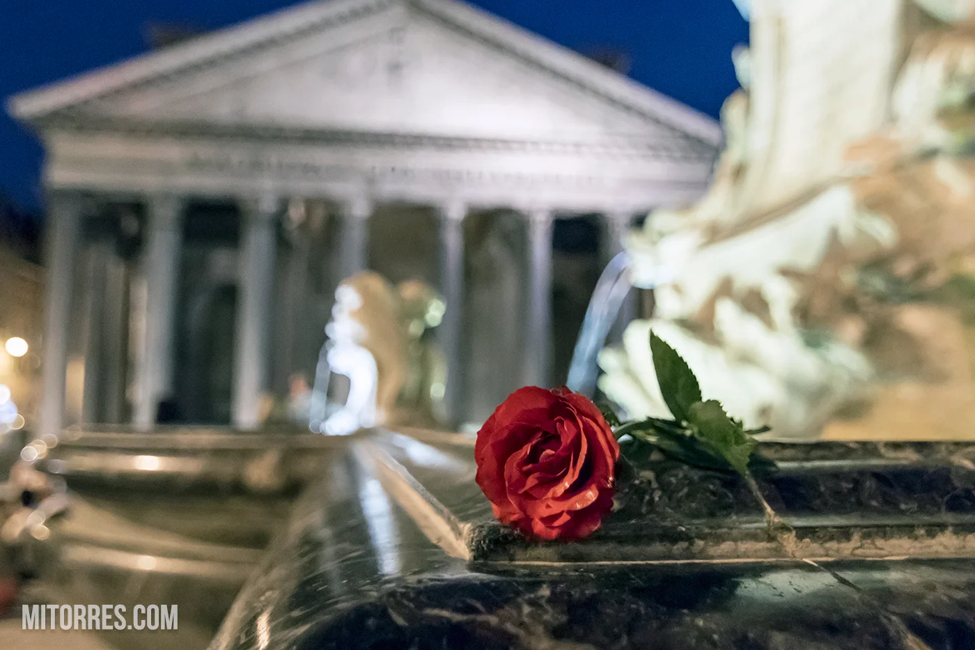 Rose At The Fontana Del Pantheon