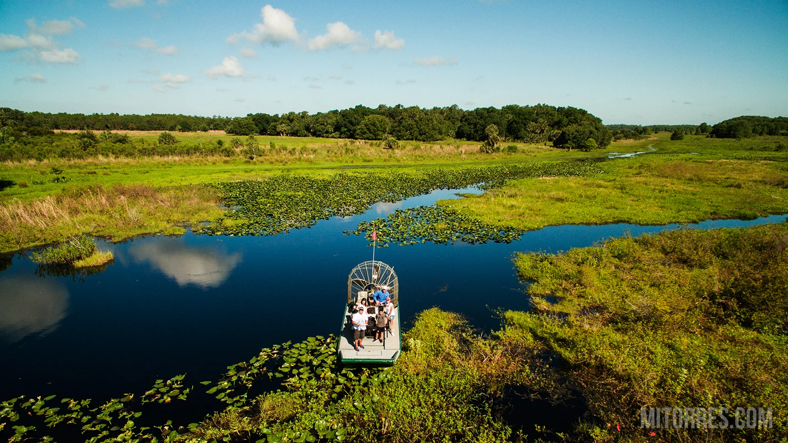 WILD FLORIDA | Airboats & Gators