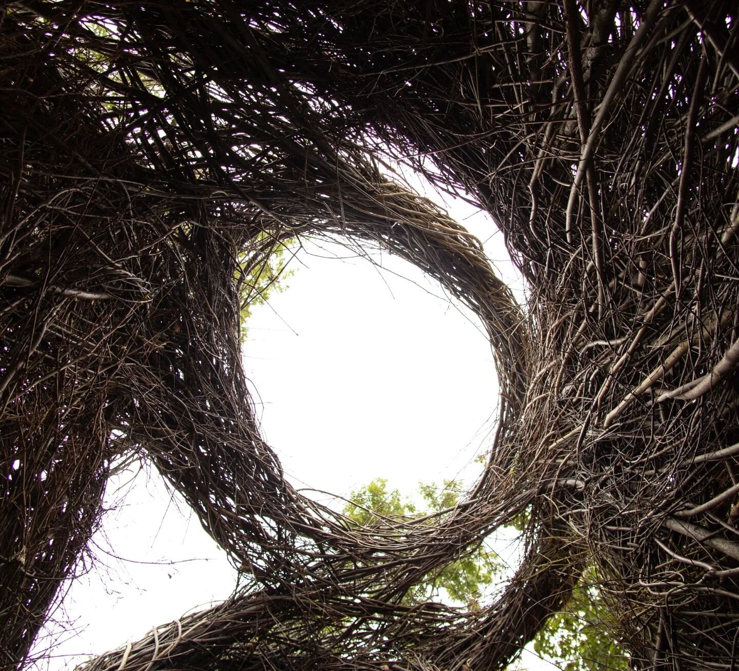 Join us for an afternoon of 'stickwork maintenance' on Patrick Dougherty's 'A Walk in the Park' stickwork sculpture at Eliza Howell Park on May 17, 2:00 - 5:00pm. All ages and abilities are welcome. 

Minors must be accompanied by a guardian. We are 
