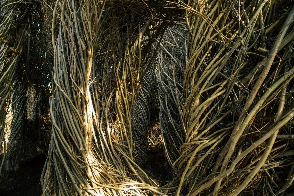  Credit: Noah Elliot Morrison 