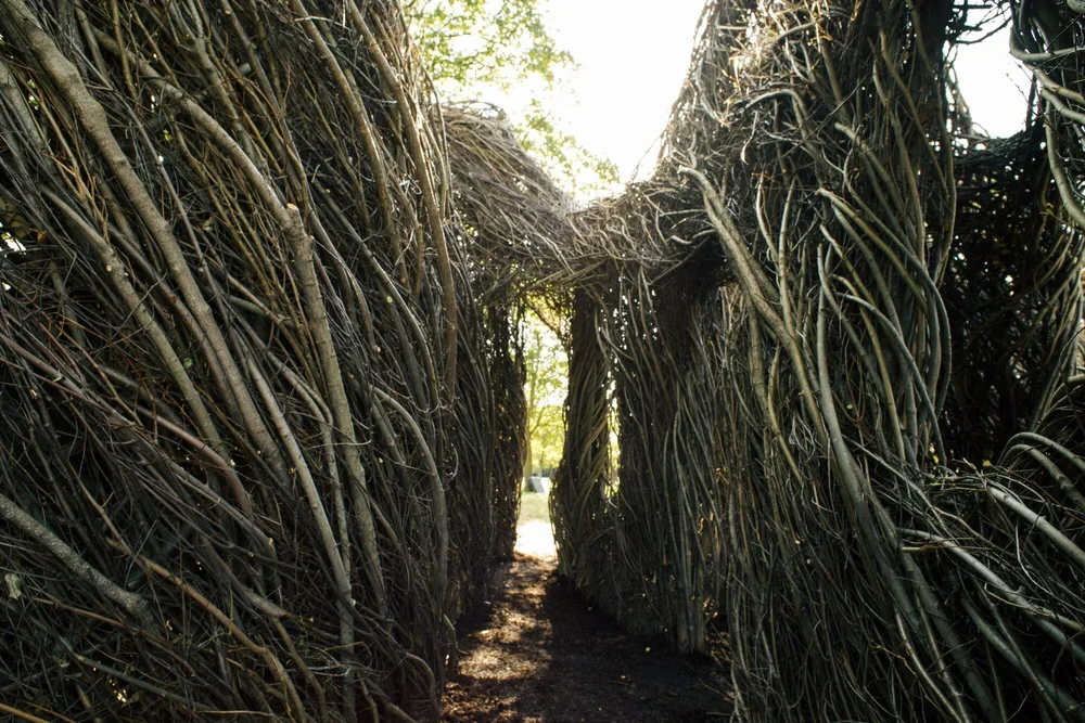  Credit: Noah Elliot Morrison 