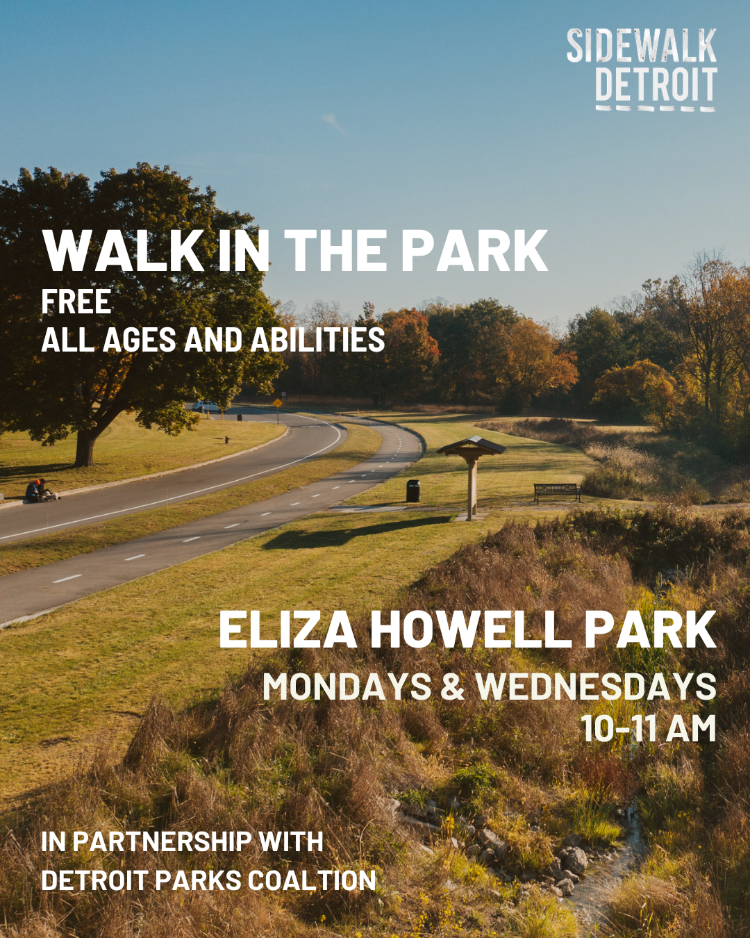Walking Group in the Park 