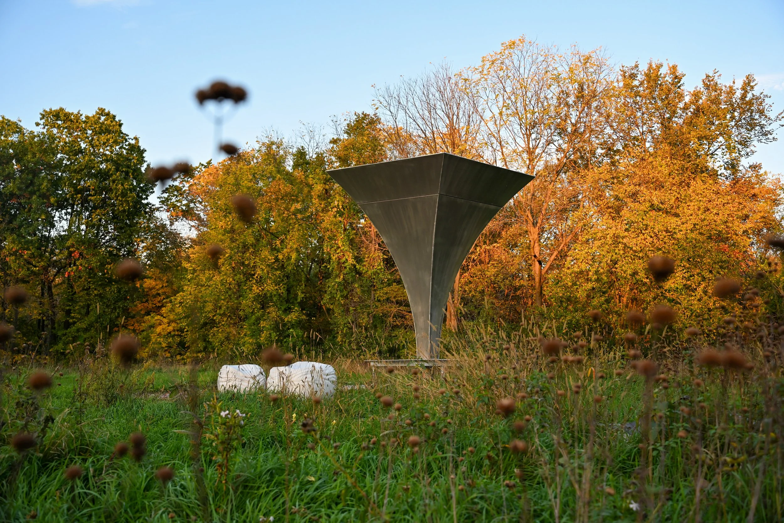 DSC_6486.jpg