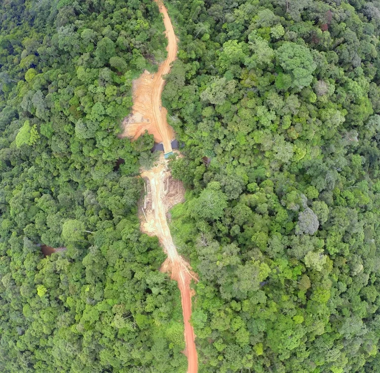 This image is a composite of over 50 images taken over an area of 3 square kilometres from an altitude of 120m and has a 10cm per pixel resolution.