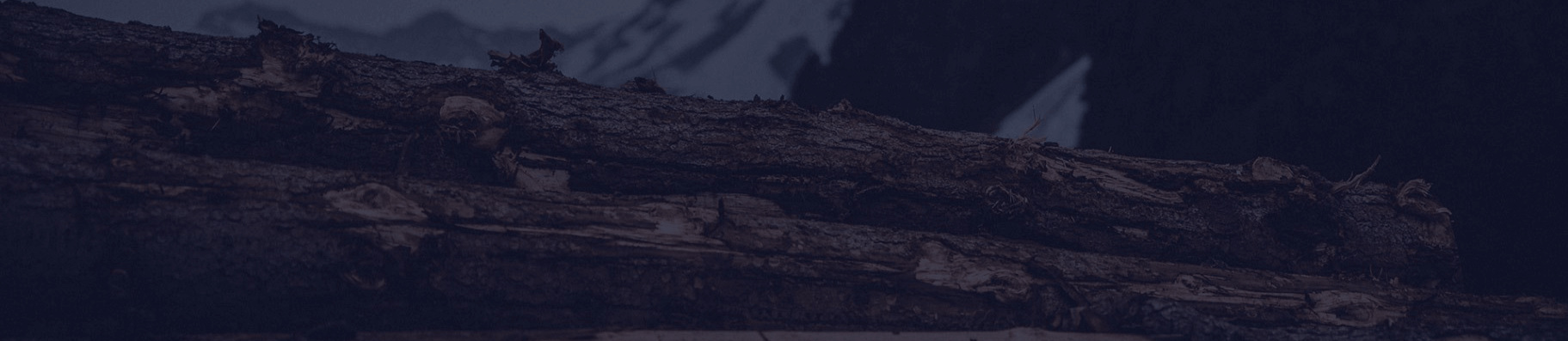 Timber03.jpg