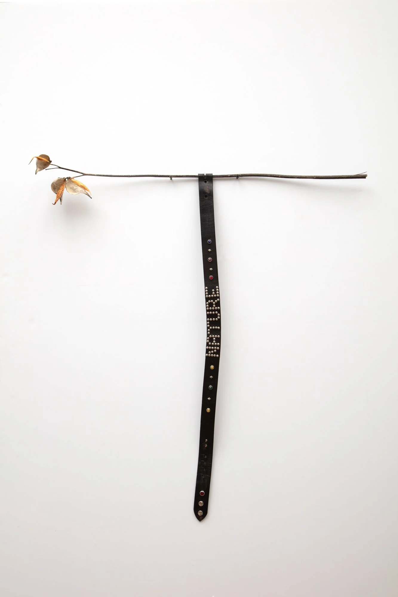 Nature Belt 2015-25