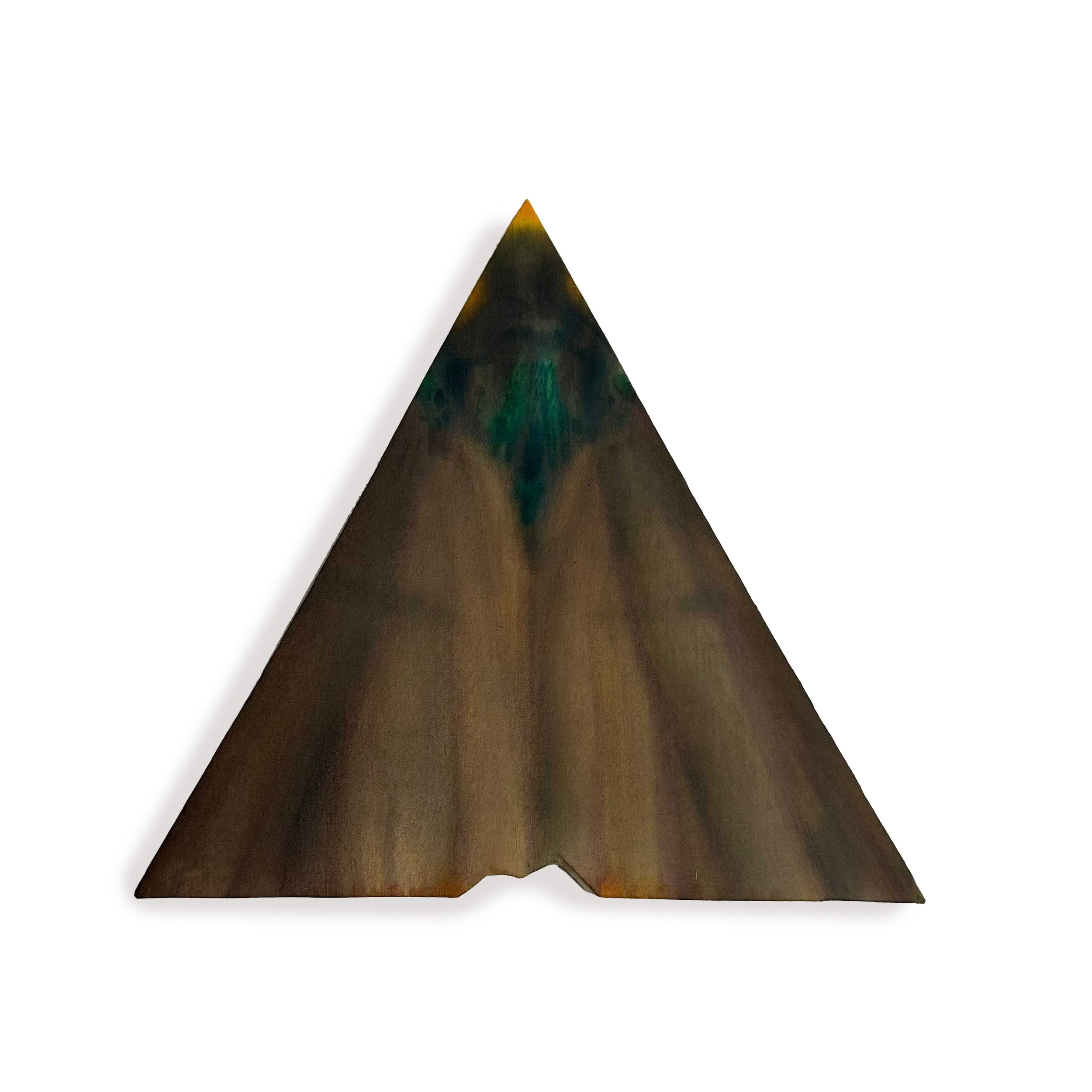 Yellow-Collared Scape Moth 2024