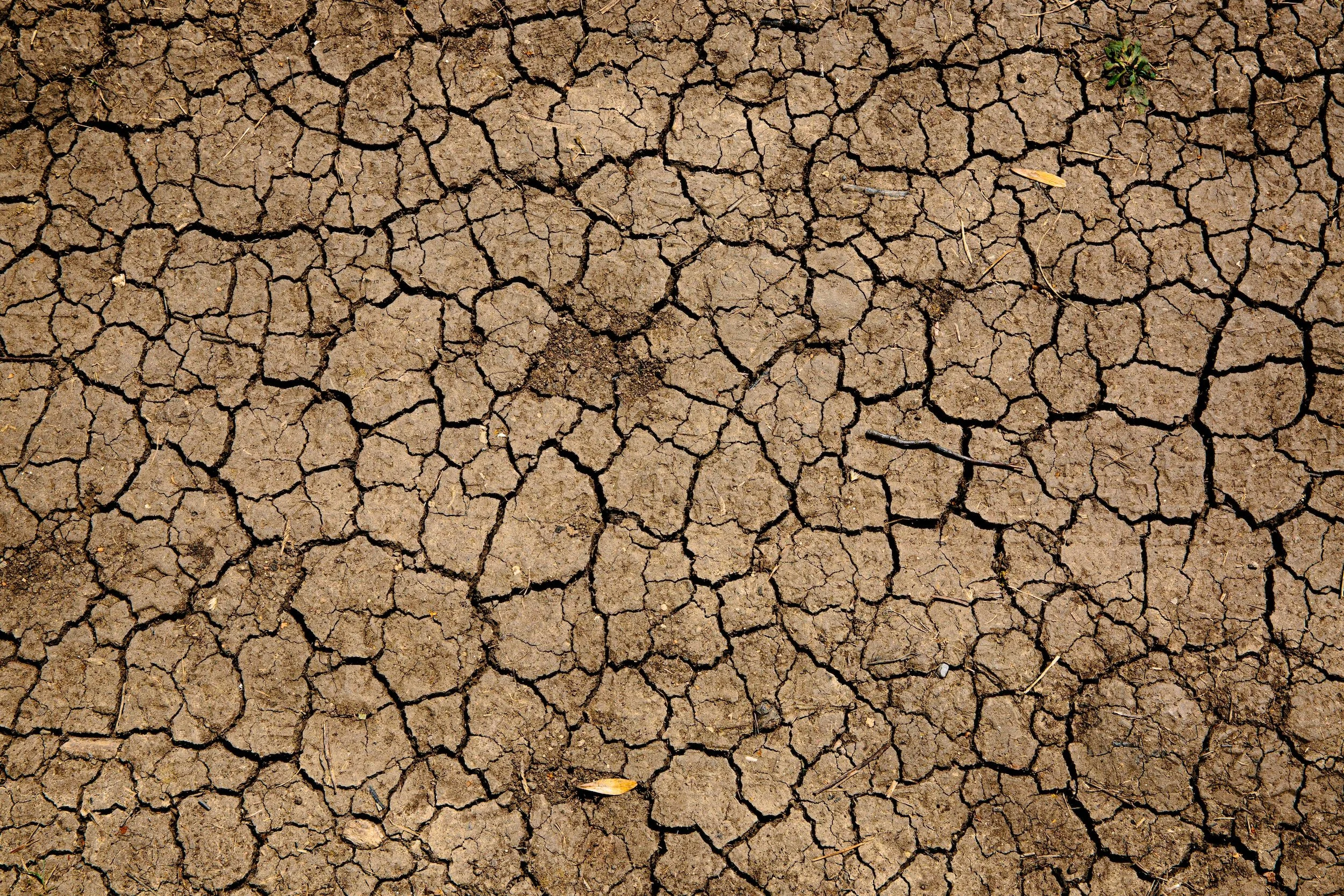 Por sequía extrema: Autoridades llaman a hacer uso responsable y eficiente del agua durante fiestas de fin de año